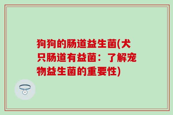 狗狗的肠道益生菌(犬只肠道有益菌:了解宠物益生菌的重要性) 狗狗的肠道益生菌(犬只肠道有益菌:了解宠物益生菌的重要性)