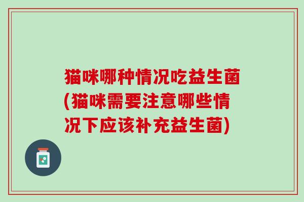 猫咪哪种情况吃益生菌(猫咪需要注意哪些情况下应该补充益生菌)