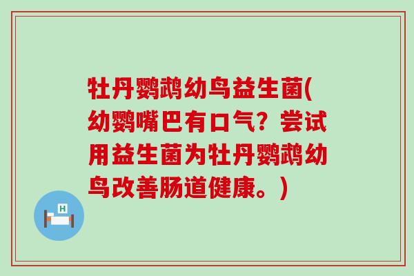 牡丹鹦鹉幼鸟益生菌(幼鹦嘴巴有口气？尝试用益生菌为牡丹鹦鹉幼鸟改善肠道健康。)
