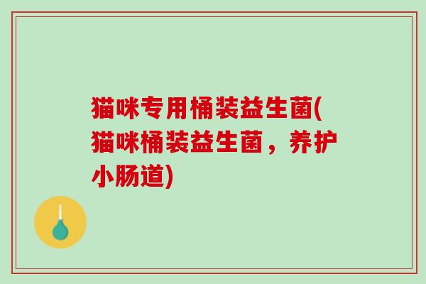 猫咪专用桶装益生菌(猫咪桶装益生菌，养护小肠道)