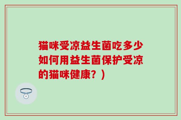 猫咪受凉益生菌吃多少如何用益生菌保护受凉的猫咪健康？)