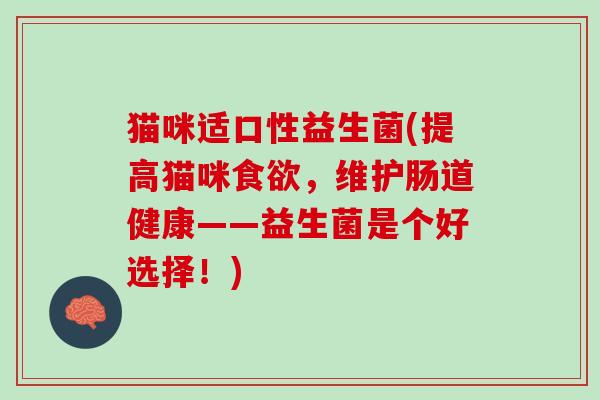 猫咪适口性益生菌(提高猫咪食欲，维护肠道健康——益生菌是个好选择！)