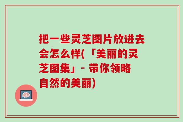 把一些灵芝图片放进去会怎么样(「美丽的灵芝图集」- 带你领略自然的美丽)