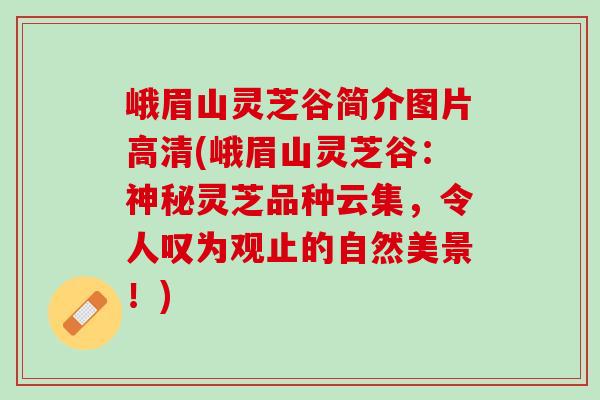 峨眉山灵芝谷简介图片高清(峨眉山灵芝谷：神秘灵芝品种云集，令人叹为观止的自然美景！)