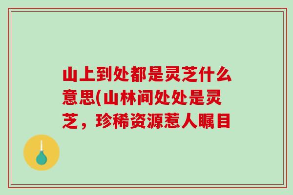 山上到处都是灵芝什么意思(山林间处处是灵芝，珍稀资源惹人瞩目