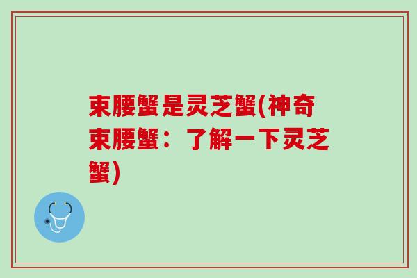 束腰蟹是灵芝蟹(神奇束腰蟹：了解一下灵芝蟹)