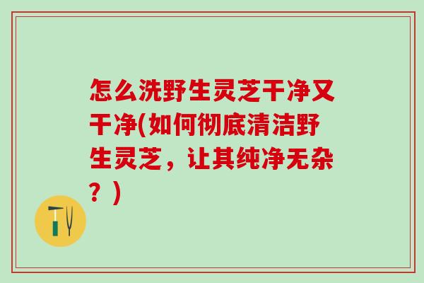 怎么洗野生灵芝干净又干净(如何彻底清洁野生灵芝，让其纯净无杂？)
