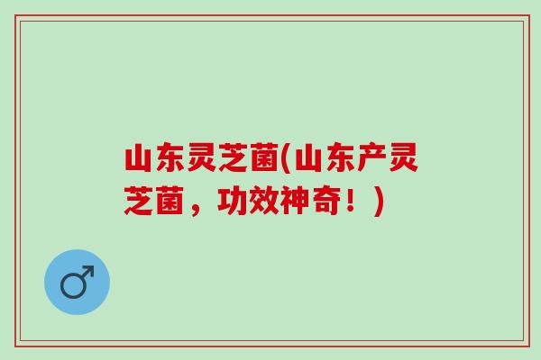 山东灵芝菌(山东产灵芝菌，功效神奇！)