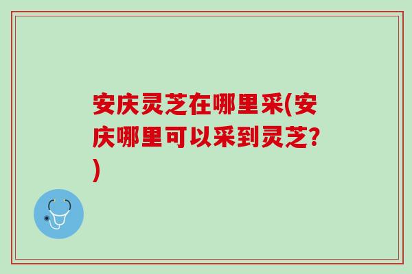 安庆灵芝在哪里采(安庆哪里可以采到灵芝？)