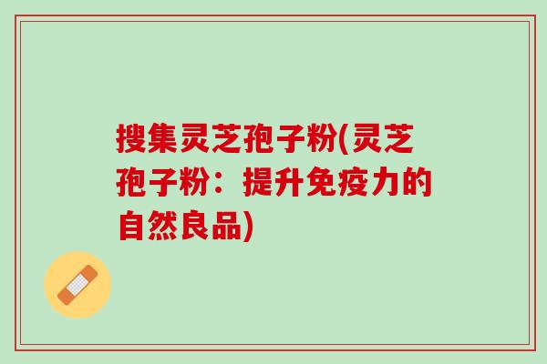搜集灵芝孢子粉(灵芝孢子粉：提升免疫力的自然良品)
