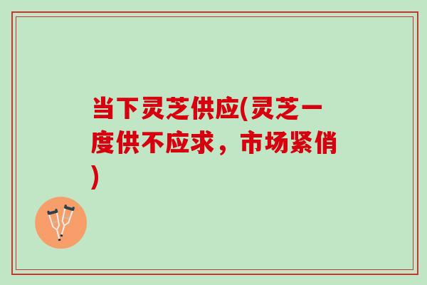 当下灵芝供应(灵芝一度供不应求，市场紧俏)
