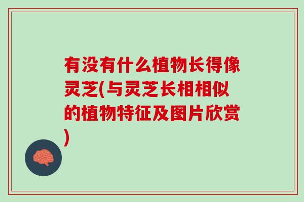 有没有什么植物长得像灵芝(与灵芝长相相似的植物特征及图片欣赏) 有没有什么植物长得像灵芝(与灵芝长相相似的植物特征及图片欣赏)
