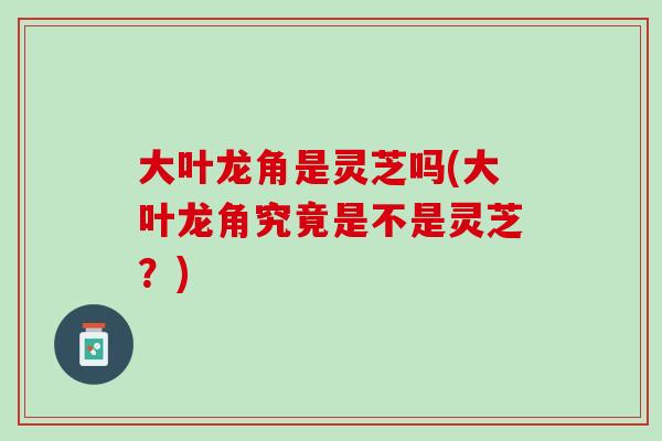 大叶龙角是灵芝吗(大叶龙角究竟是不是灵芝？)