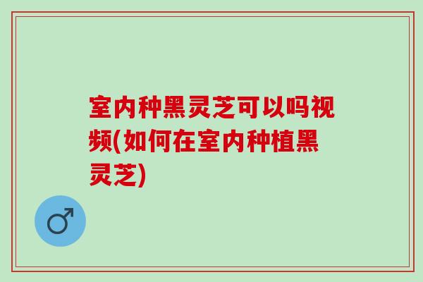 室内种黑灵芝可以吗视频(如何在室内种植黑灵芝)