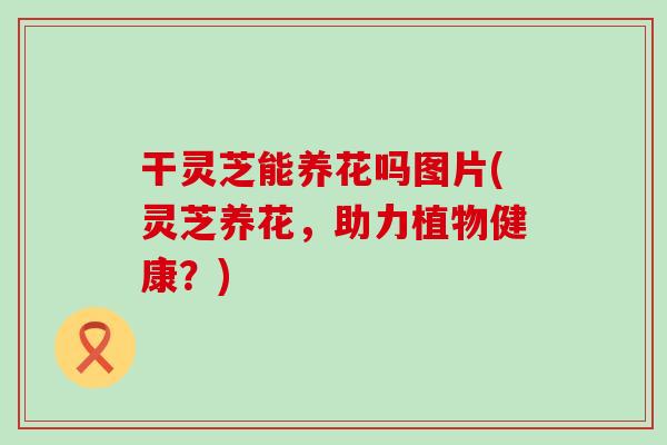 干灵芝能养花吗图片(灵芝养花，助力植物健康？)