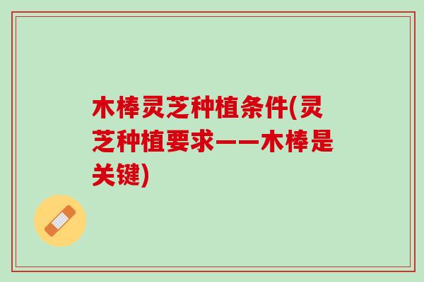 木棒灵芝种植条件(灵芝种植要求——木棒是关键)