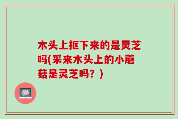 木头上抠下来的是灵芝吗(采来木头上的小蘑菇是灵芝吗？)