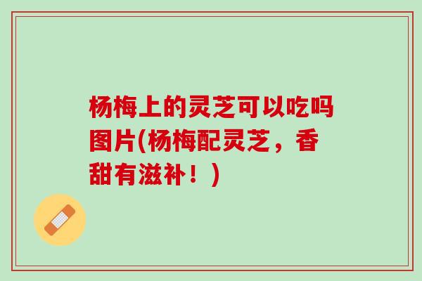 杨梅上的灵芝可以吃吗图片(杨梅配灵芝，香甜有滋补！)