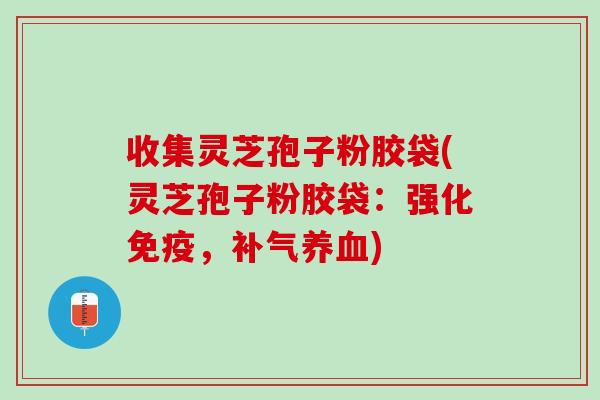 收集灵芝孢子粉胶袋(灵芝孢子粉胶袋：强化免疫，补气养血)