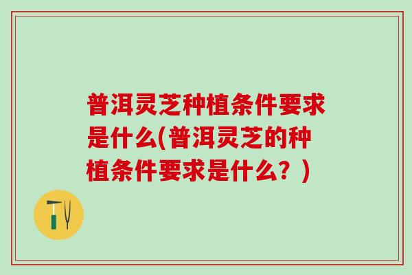 普洱灵芝种植条件要求是什么(普洱灵芝的种植条件要求是什么？)