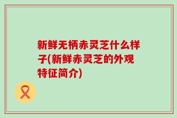 新鲜无柄赤灵芝什么样子(新鲜赤灵芝的外观特征简介)