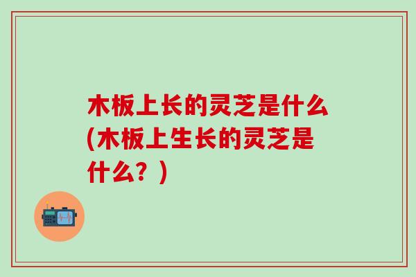 木板上长的灵芝是什么(木板上生长的灵芝是什么？)