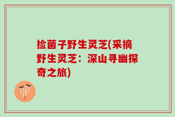 捡菌子野生灵芝(采摘野生灵芝：深山寻幽探奇之旅)