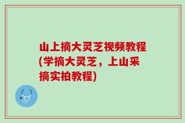 山上摘大灵芝视频教程(学摘大灵芝，上山采摘实拍教程)