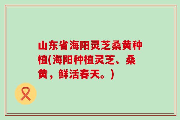 山东省海阳灵芝桑黄种植(海阳种植灵芝、桑黄，鲜活春天。)