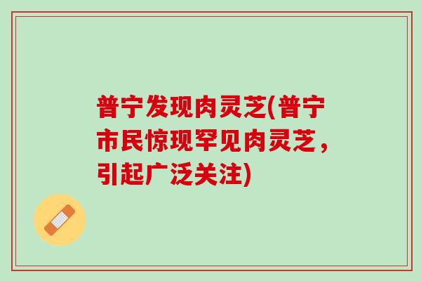 普宁发现肉灵芝(普宁市民惊现罕见肉灵芝，引起广泛关注)