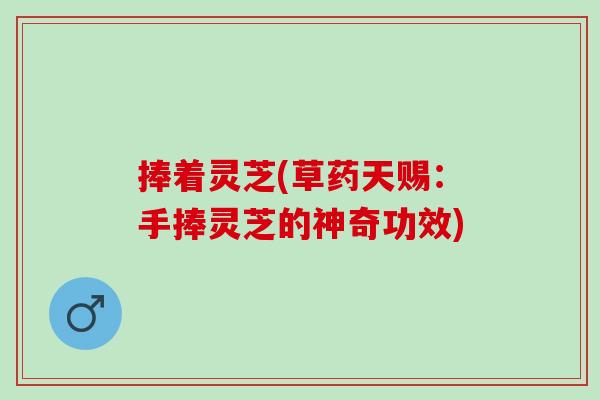 捧着灵芝(草药天赐：手捧灵芝的神奇功效)