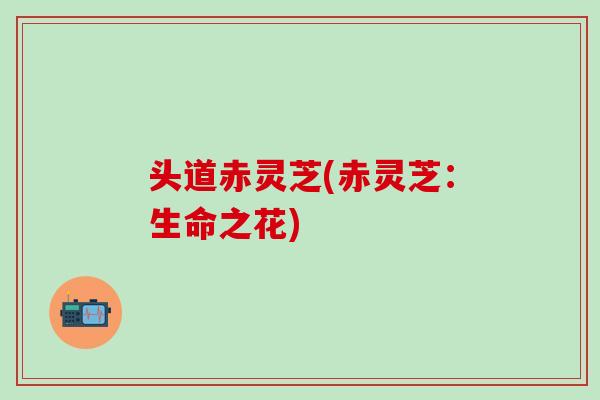 头道赤灵芝(赤灵芝：生命之花)