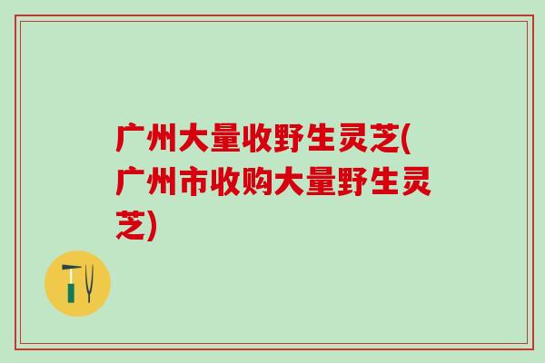 广州大量收野生灵芝(广州市收购大量野生灵芝)