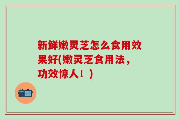新鲜嫩灵芝怎么食用效果好(嫩灵芝食用法，功效惊人！)