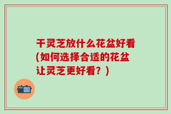 干灵芝放什么花盆好看(如何选择合适的花盆让灵芝更好看？)