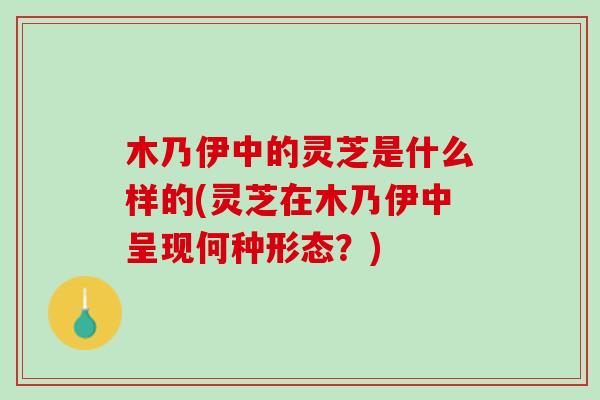 木乃伊中的灵芝是什么样的(灵芝在木乃伊中呈现何种形态?) 木乃伊中的灵芝是什么样的(灵芝在木乃伊中呈现何种形态?)
