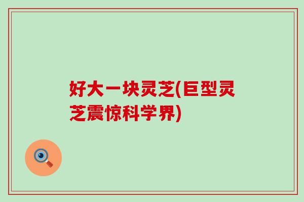 好大一块灵芝(巨型灵芝震惊科学界)