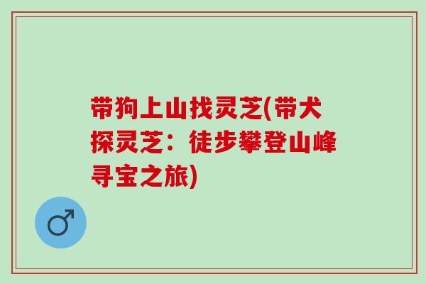 带狗上山找灵芝(带犬探灵芝：徒步攀登山峰寻宝之旅)