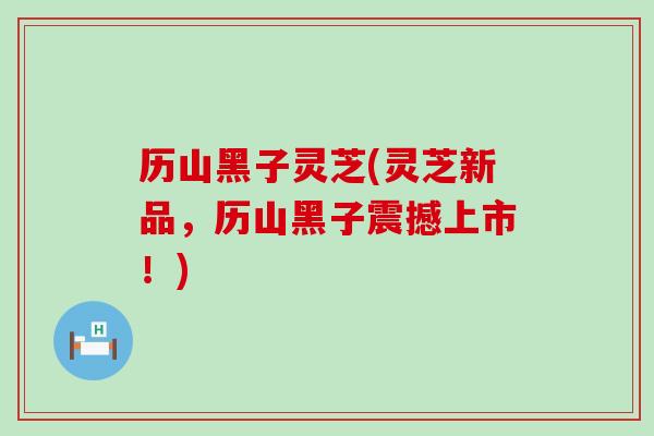 历山黑子灵芝(灵芝新品，历山黑子震撼上市！)