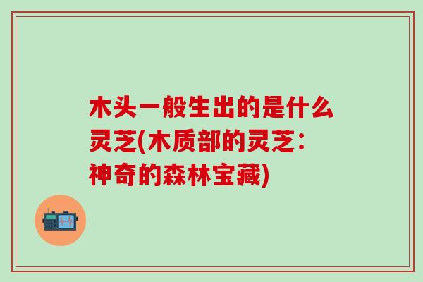 木头一般生出的是什么灵芝(木质部的灵芝：神奇的森林宝藏)