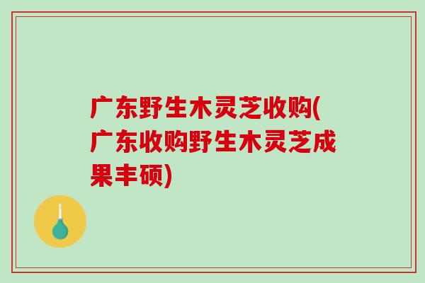 广东野生木灵芝收购(广东收购野生木灵芝成果丰硕)