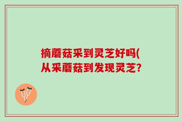 摘蘑菇采到灵芝好吗(从采蘑菇到发现灵芝？