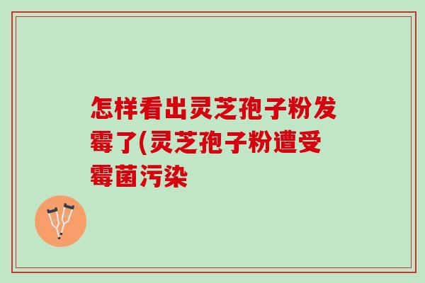 怎样看出灵芝孢子粉发霉了(灵芝孢子粉遭受霉菌污染