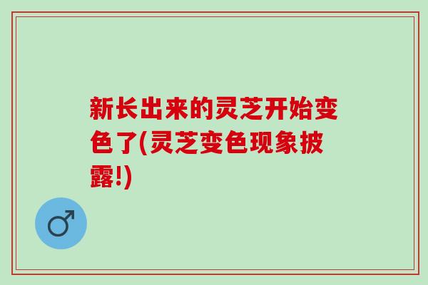 新长出来的灵芝开始变色了(灵芝变色现象披露!)