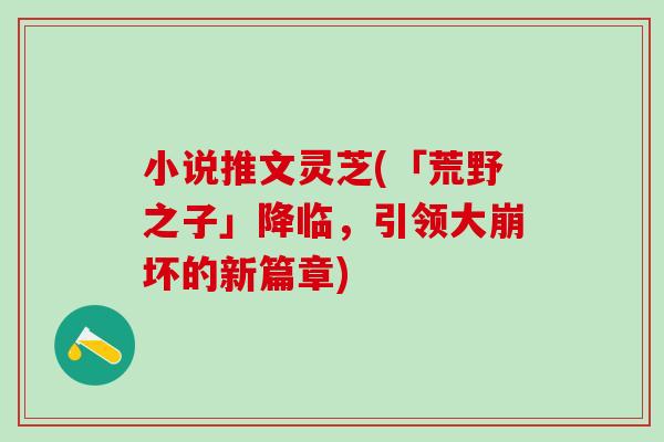小说推文灵芝(「荒野之子」降临，引领大崩坏的新篇章)