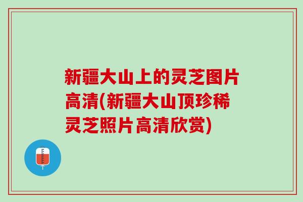 新疆大山上的灵芝图片高清(新疆大山顶珍稀灵芝照片高清欣赏)