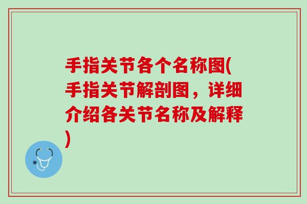 手指关节各个名称图(手指关节解剖图，详细介绍各关节名称及解释)