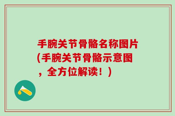 手腕关节骨骼名称图片(手腕关节骨骼示意图，全方位解读！)