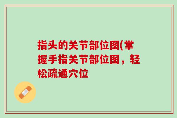 指头的关节部位图(掌握手指关节部位图，轻松疏通穴位