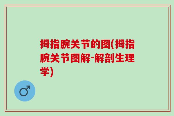 拇指腕关节的图(拇指腕关节图解-解剖生理学)